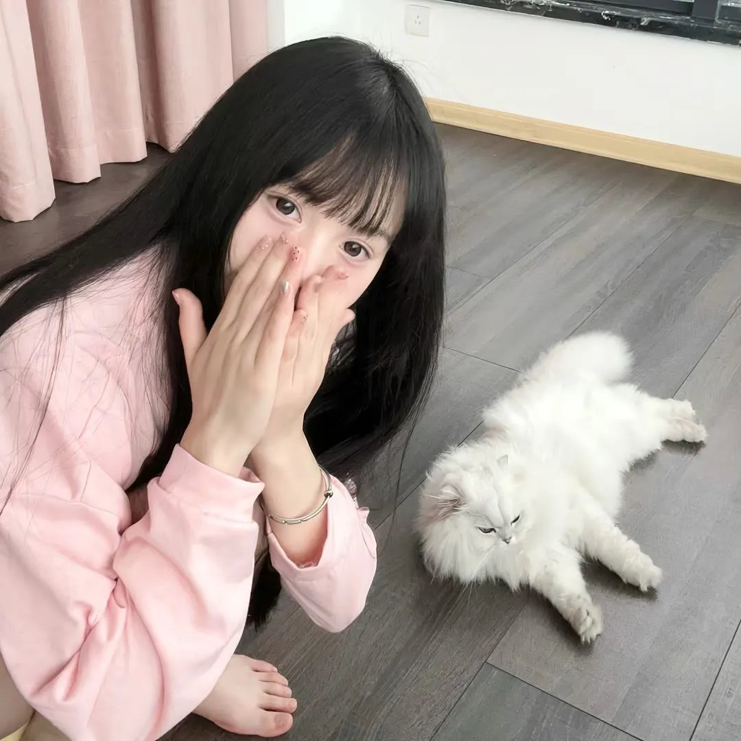 特遣队出击